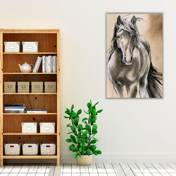 Sketched Horse II - Canvas Print Wall Art