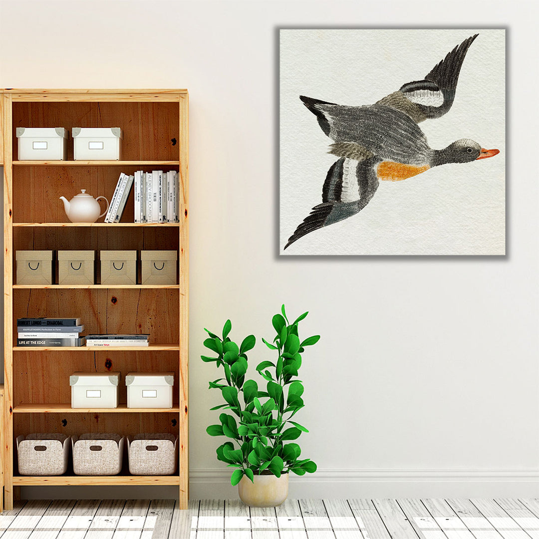 Flying Ducks I - Canvas Print Wall Art