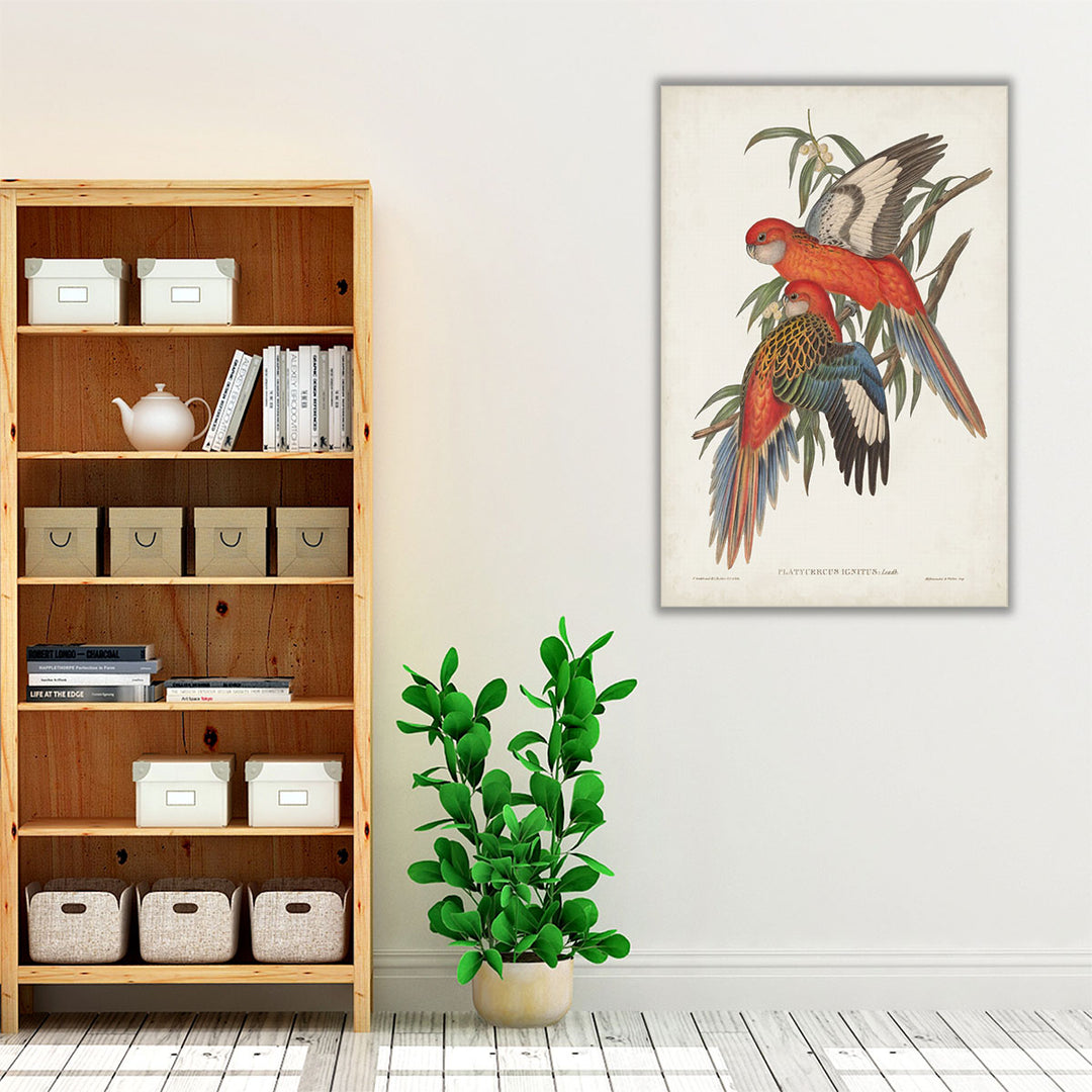 Tropical Parrots I - Canvas Print Wall Art