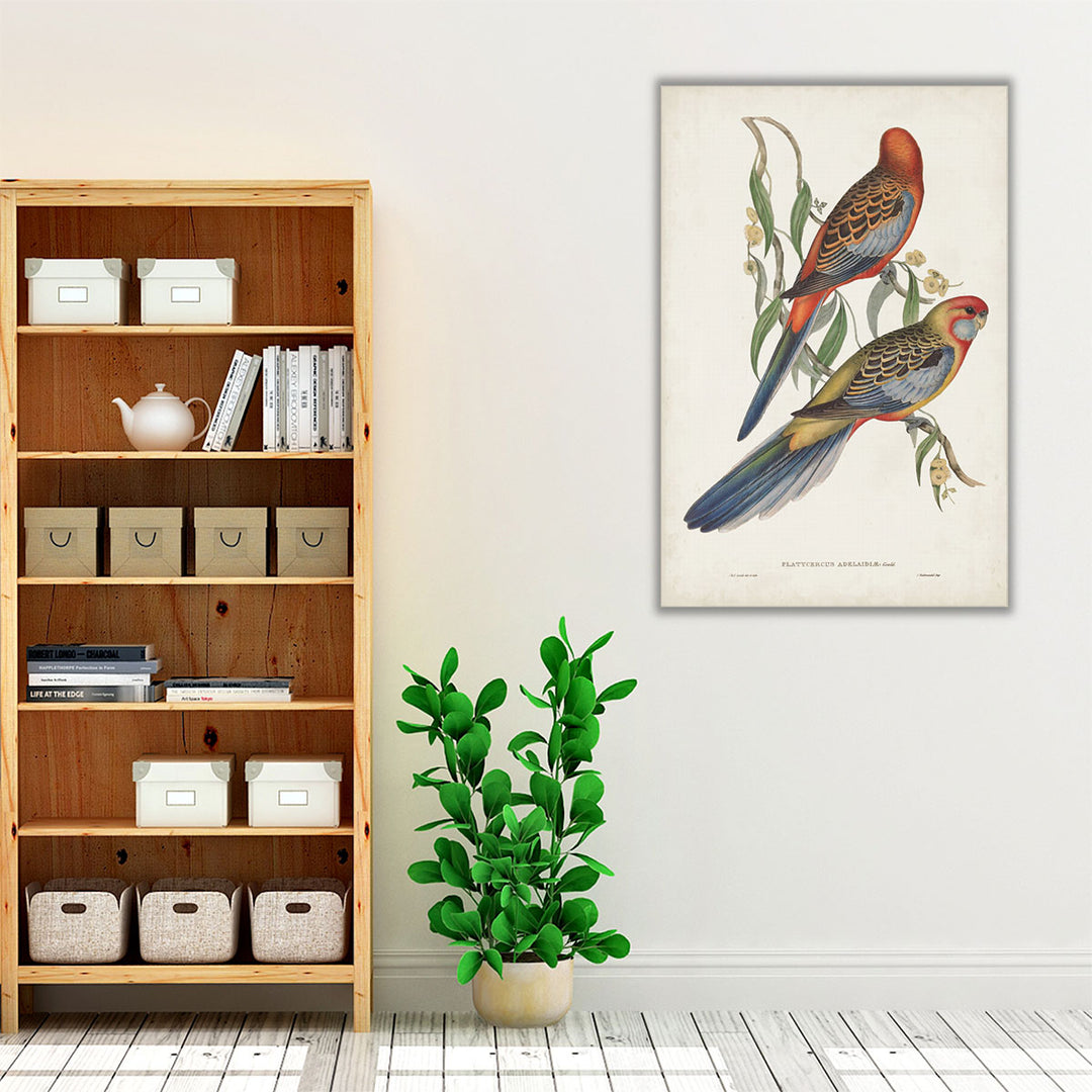 Tropical Parrots II - Canvas Print Wall Art