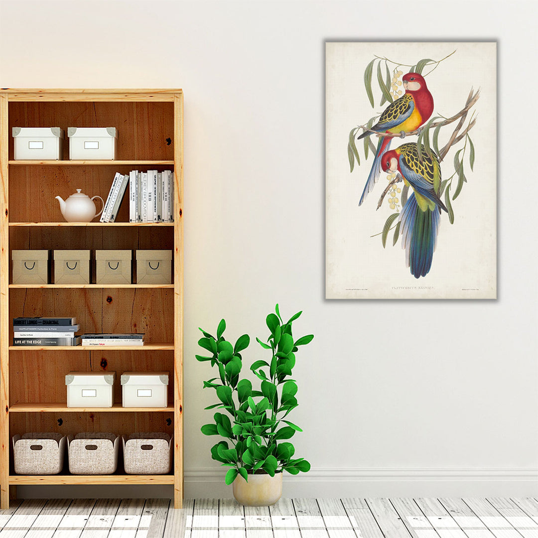 Tropical Parrots IV - Canvas Print Wall Art