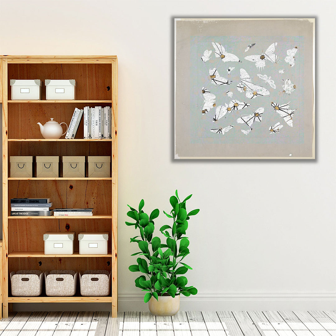 19th Century Butterfly Constellations III - Canvas Print Wall Art