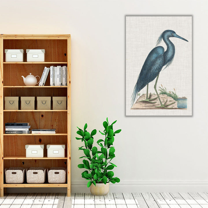 Catesby Heron II - Canvas Print Wall Art