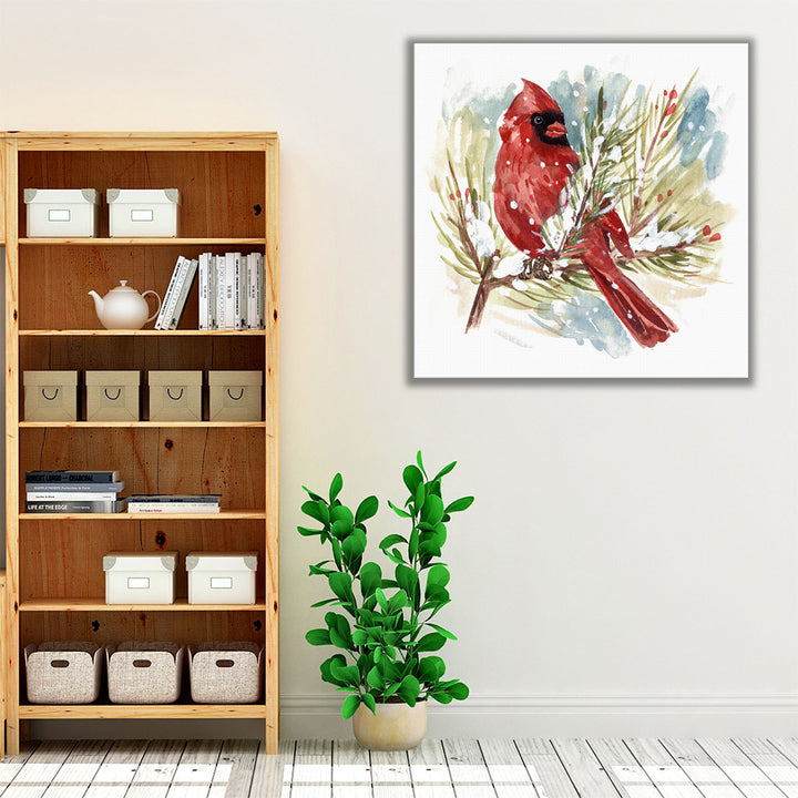 The Cardinal I - Canvas Print Wall Art