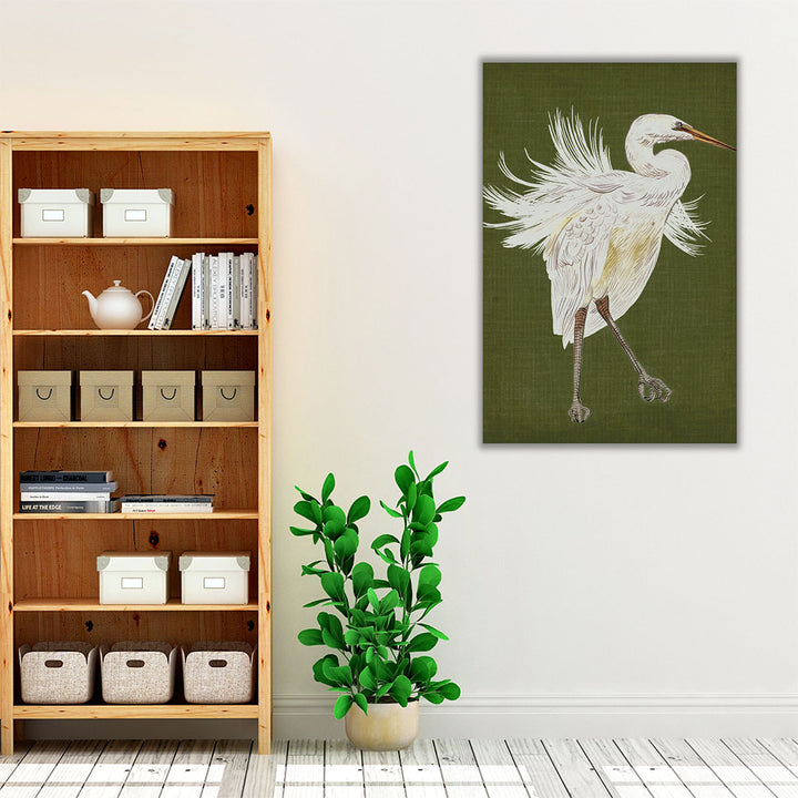 Heron Plumage I - Canvas Print Wall Art