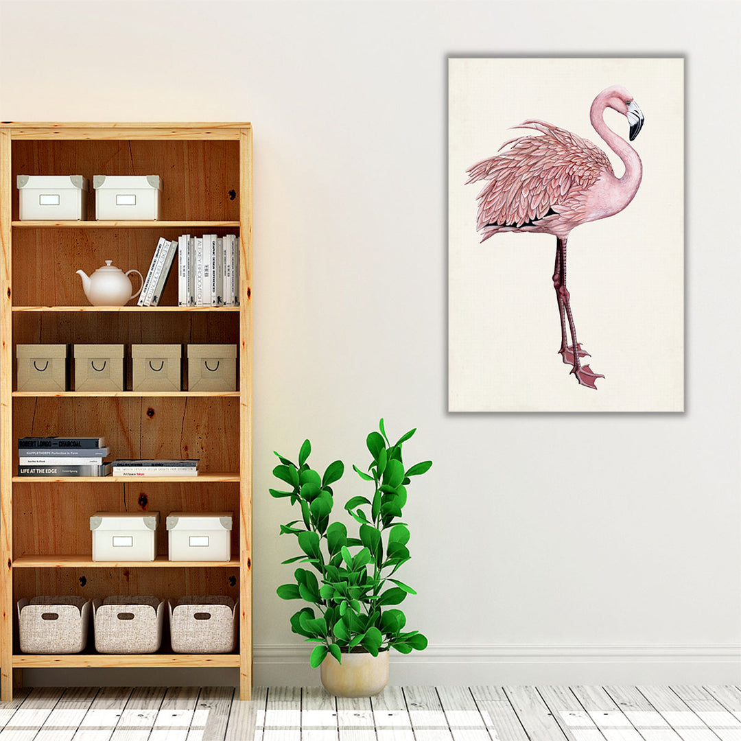 Striking Flamingo I - Canvas Print Wall Art