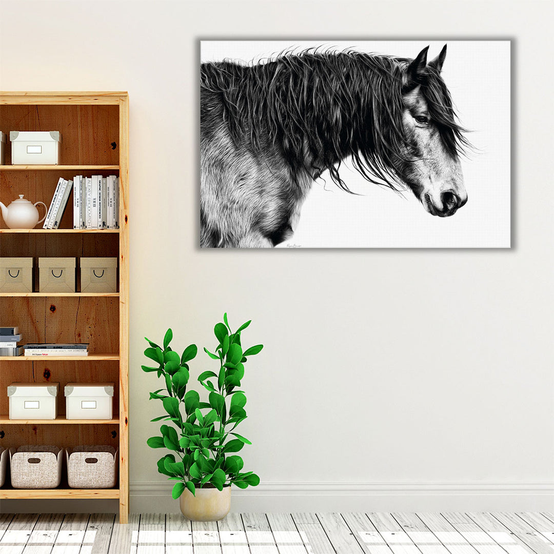 Black and White Horse Portrait III - Canvas Print Wall Art