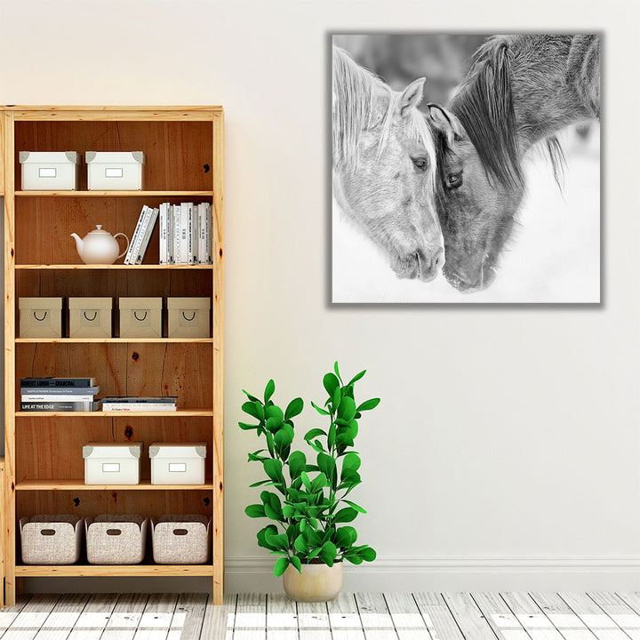 BandW Horses VII - Canvas Print Wall Art