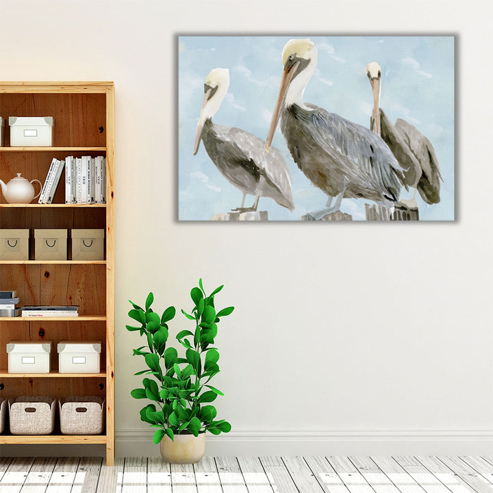 Soft Brown Pelican III - Canvas Print Wall Art