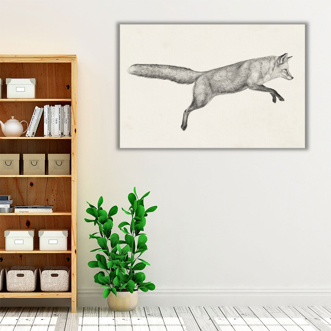 Flying Fox I - Canvas Print Wall Art