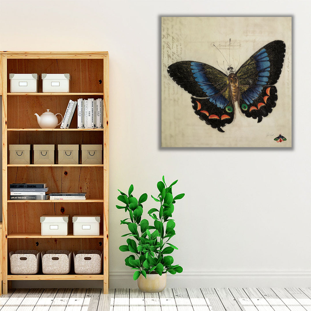 Vintage Blue Butterfly - Canvas Print Wall Art