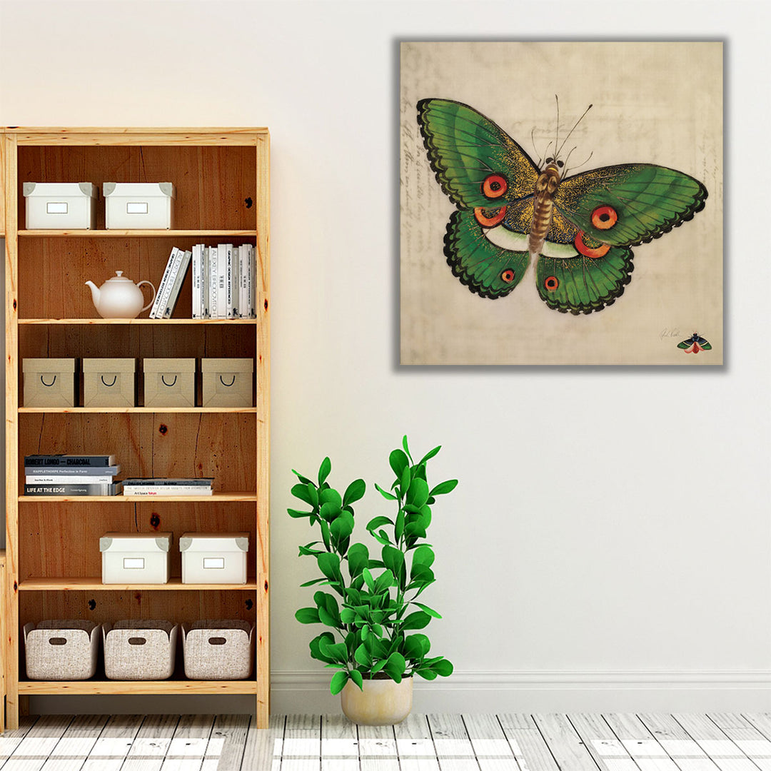 Vintage Green Butterfly - Canvas Print Wall Art