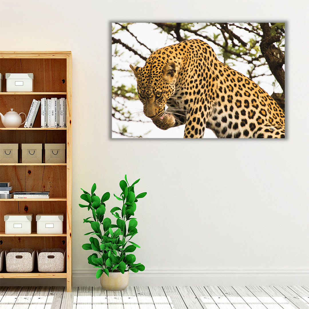 After Lunch - Canvas Print Wall Art