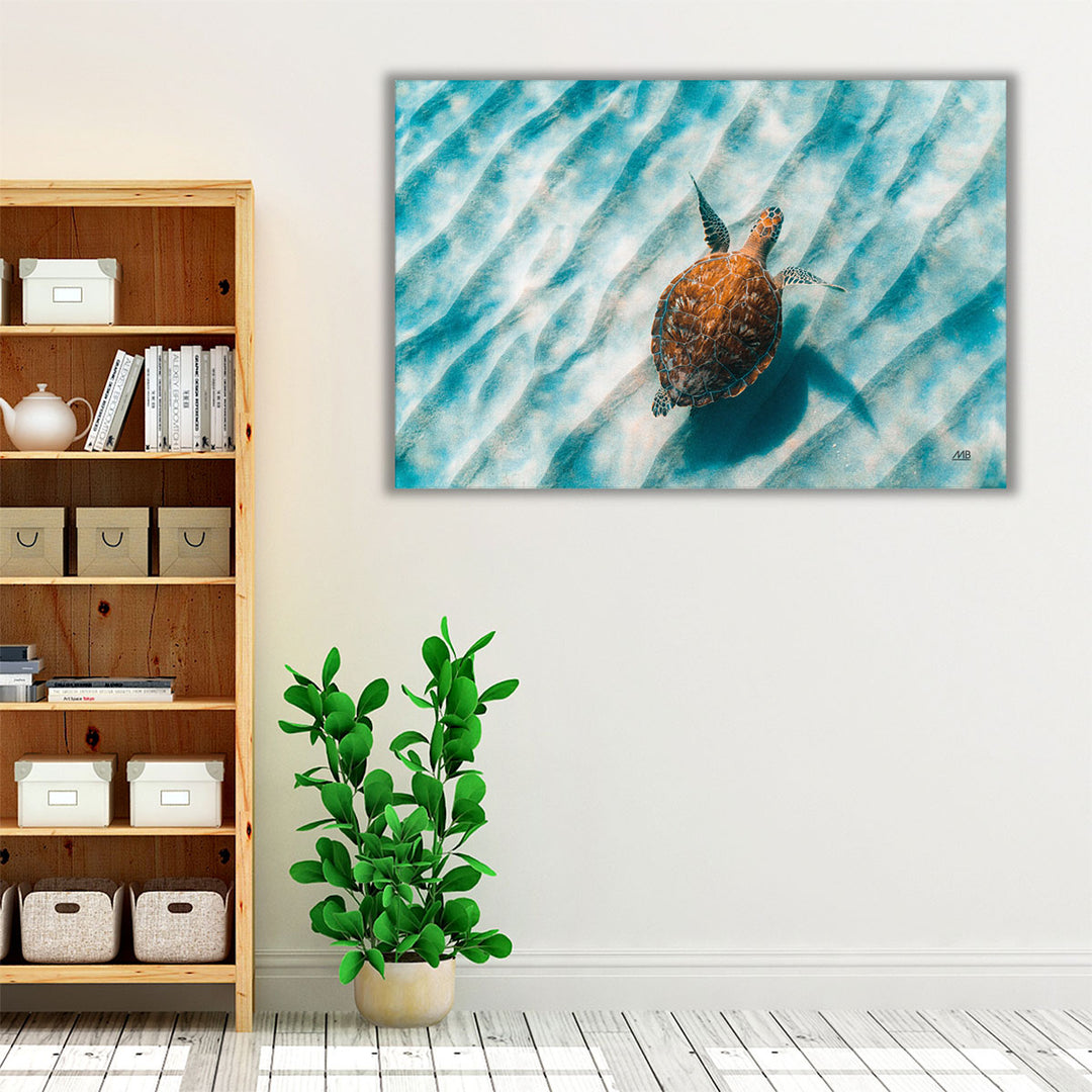 Sandbar Sea Turtle II - Canvas Print Wall Art