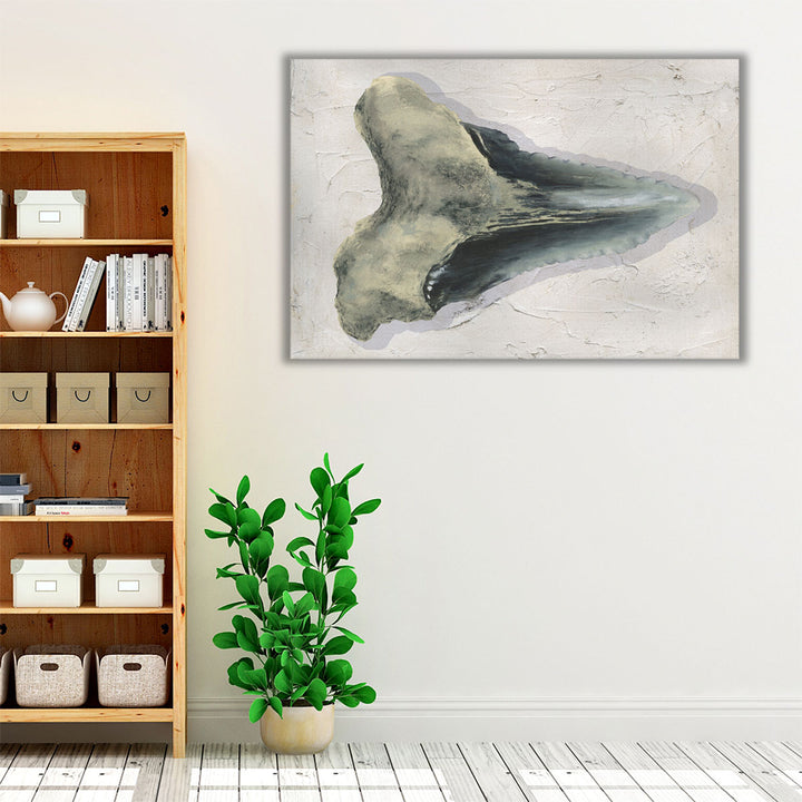 Watercolor Sharks Tooth III - Canvas Print Wall Art