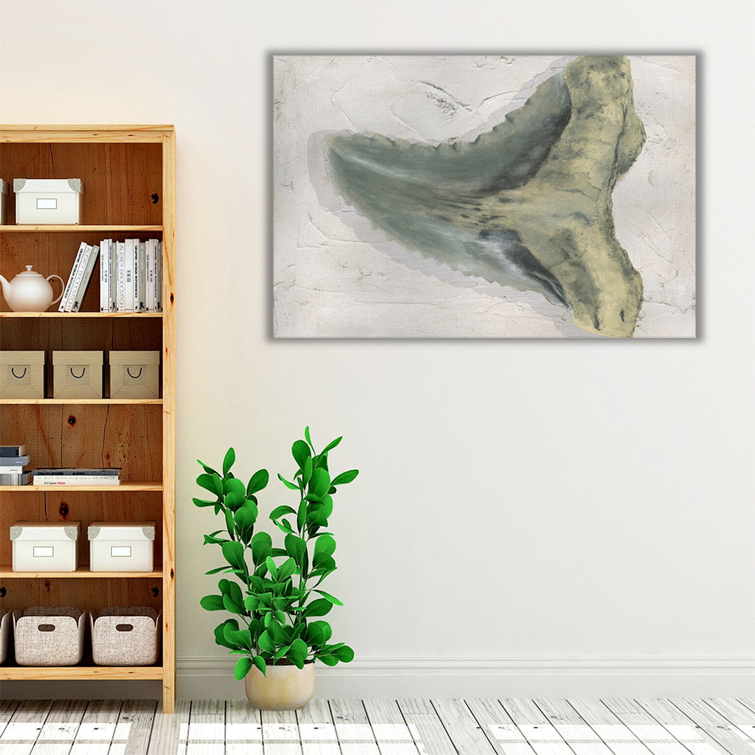 Watercolor Sharks Tooth IV - Canvas Print Wall Art