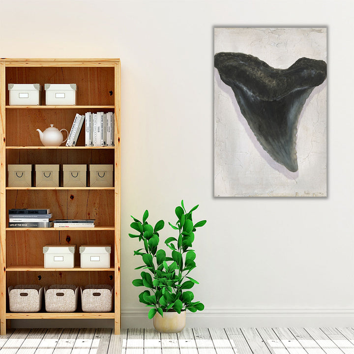 Watercolor Sharks Tooth I - Canvas Print Wall Art