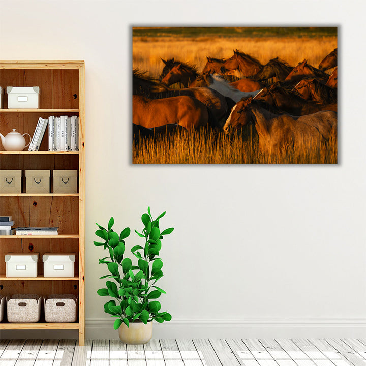 Golden Light - Canvas Print Wall Art