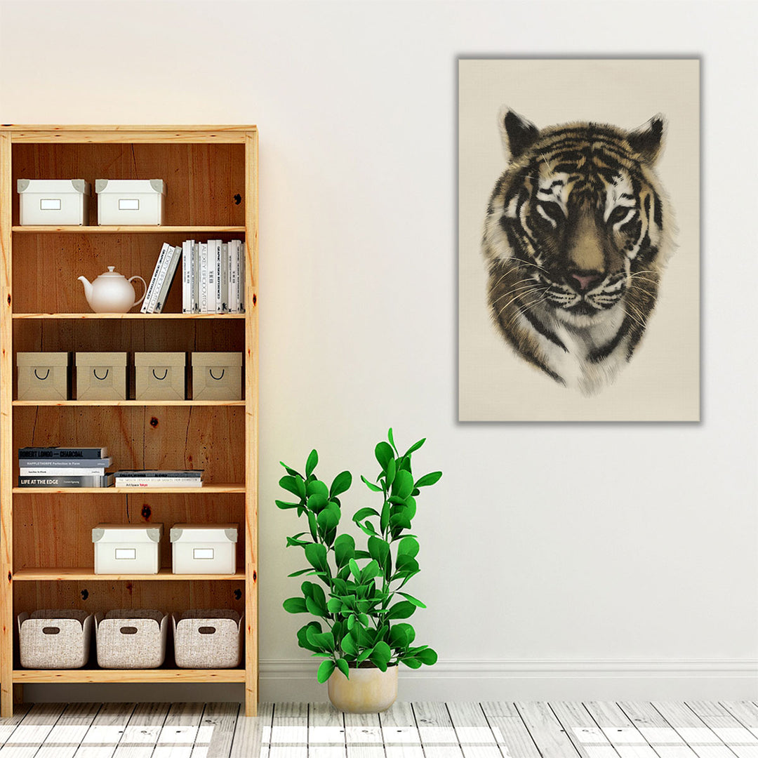 Antique Tiger Portrait I - Canvas Print Wall Art