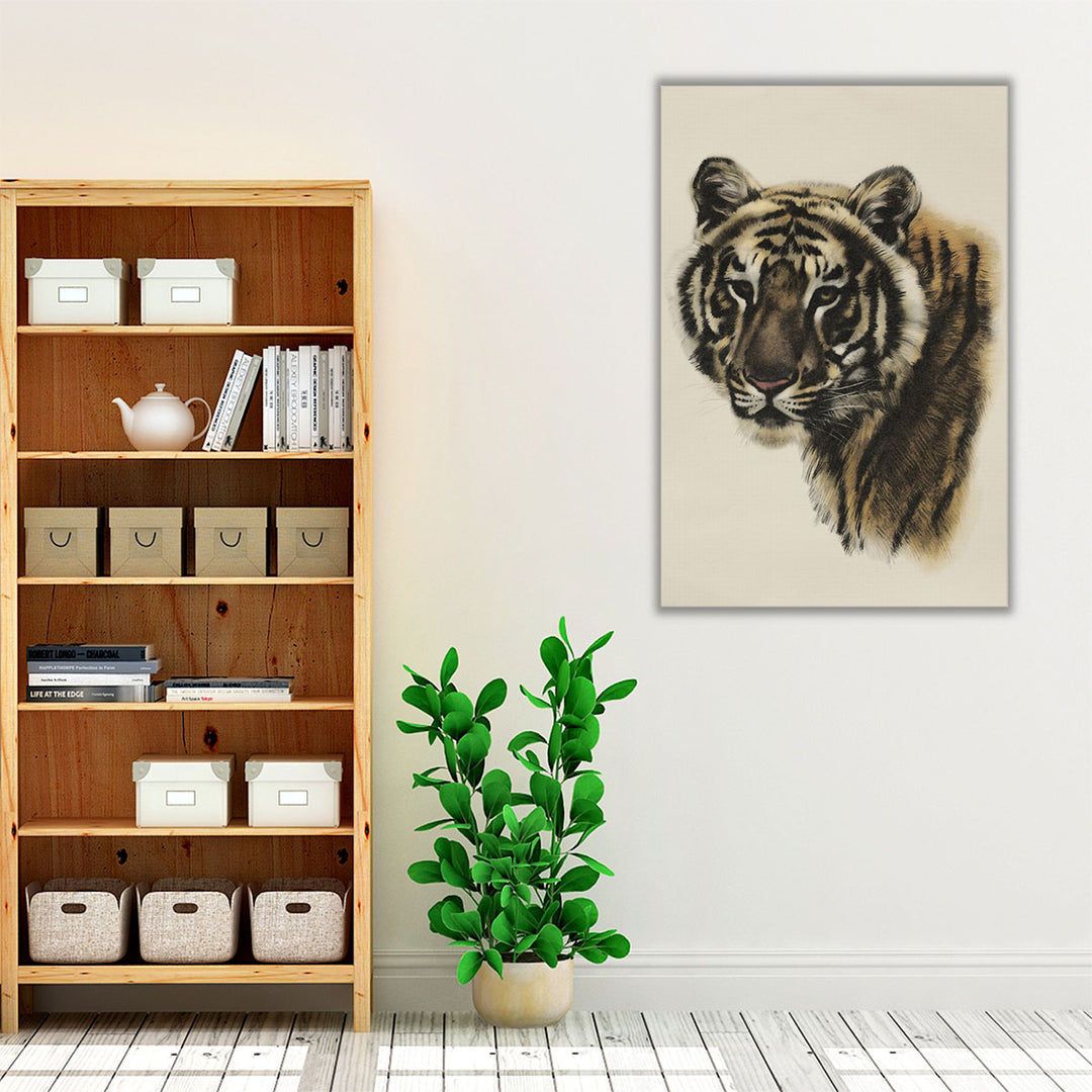 Antique Tiger Portrait II - Canvas Print Wall Art