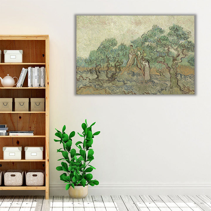 The Olive Orchard, 1889 - Canvas Print Wall Art