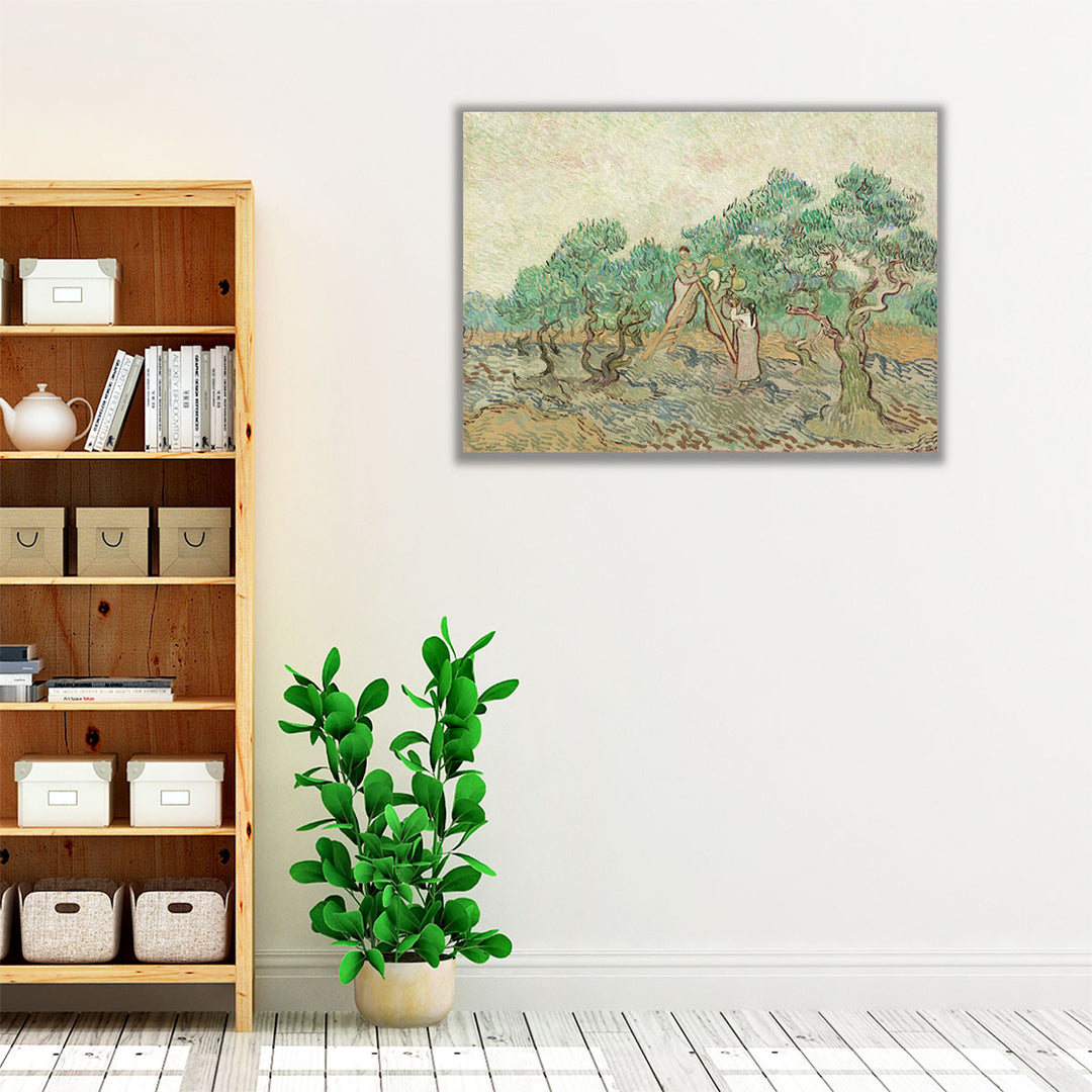 The Olive Orchard, 1889 - Canvas Print Wall Art