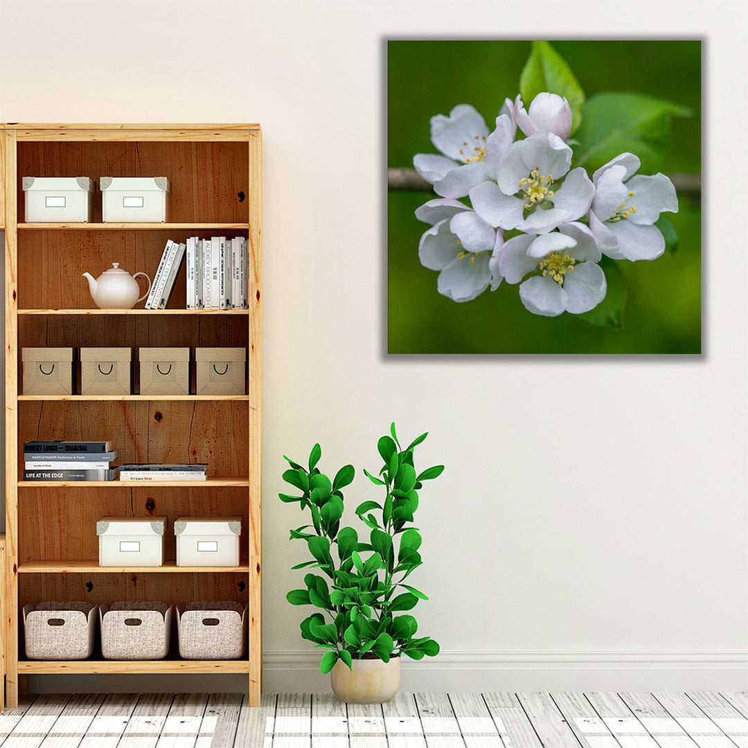 Blossom Flowers - Canvas Print Wall Art