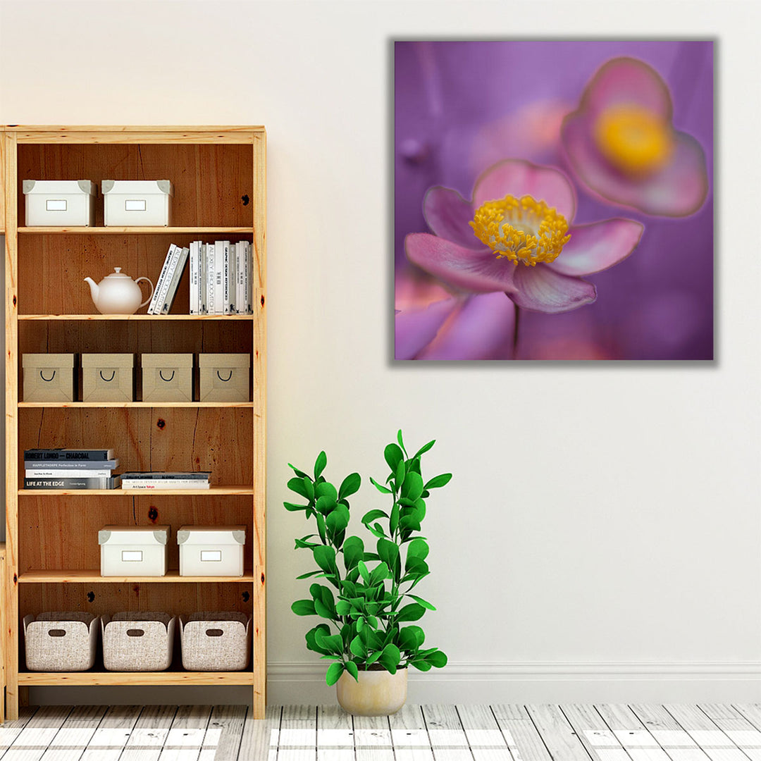 Close-up of Anemone Flowers 1 - Canvas Print Wall Art