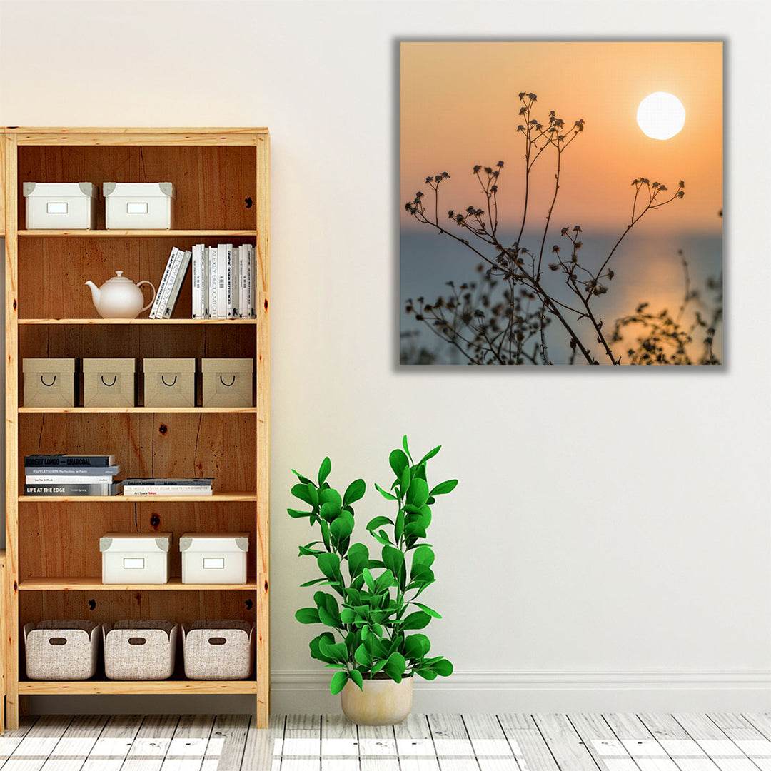 Plants Silhouette - Canvas Print Wall Art