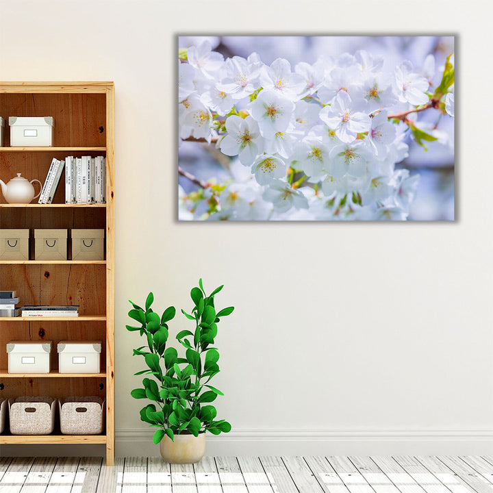 Blossom I - Canvas Print Wall Art