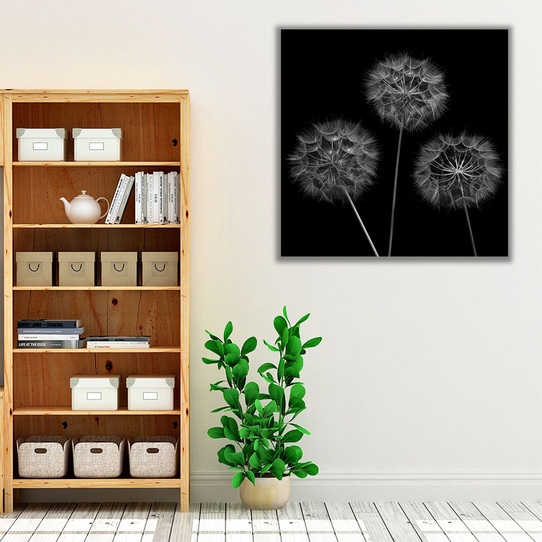 Dandelion Flowers - Canvas Print Wall Art