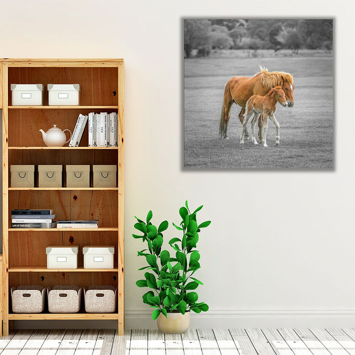 Horse with Foal - Canvas Print Wall Art