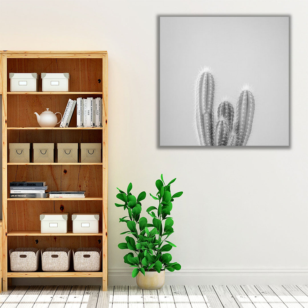 Micranthocereus Estevesii Cactus - Canvas Print Wall Art