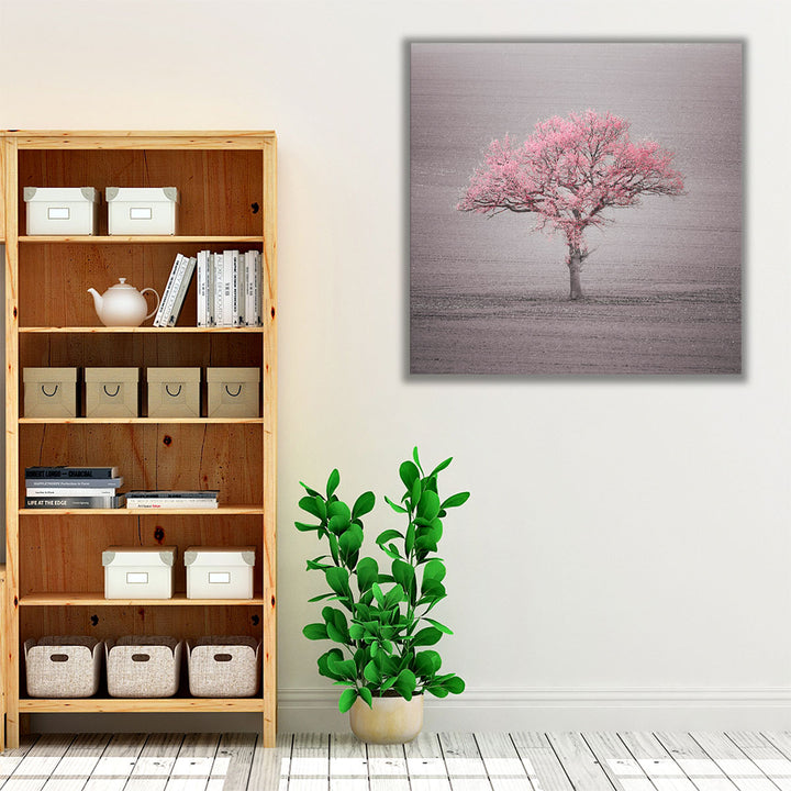 Single Tree in Foggy Grassfield - Canvas Print Wall Art