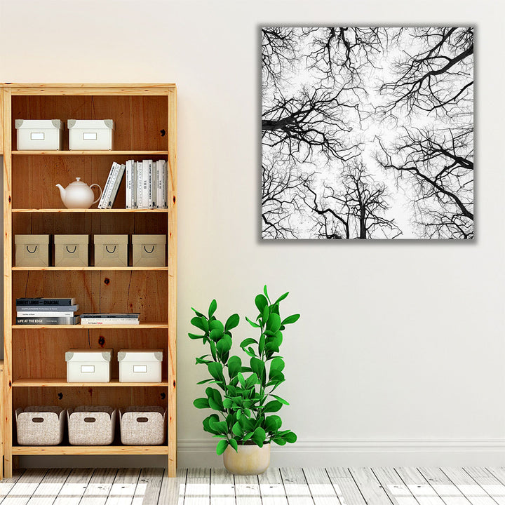 Tree Tops against the Sky - Canvas Print Wall Art