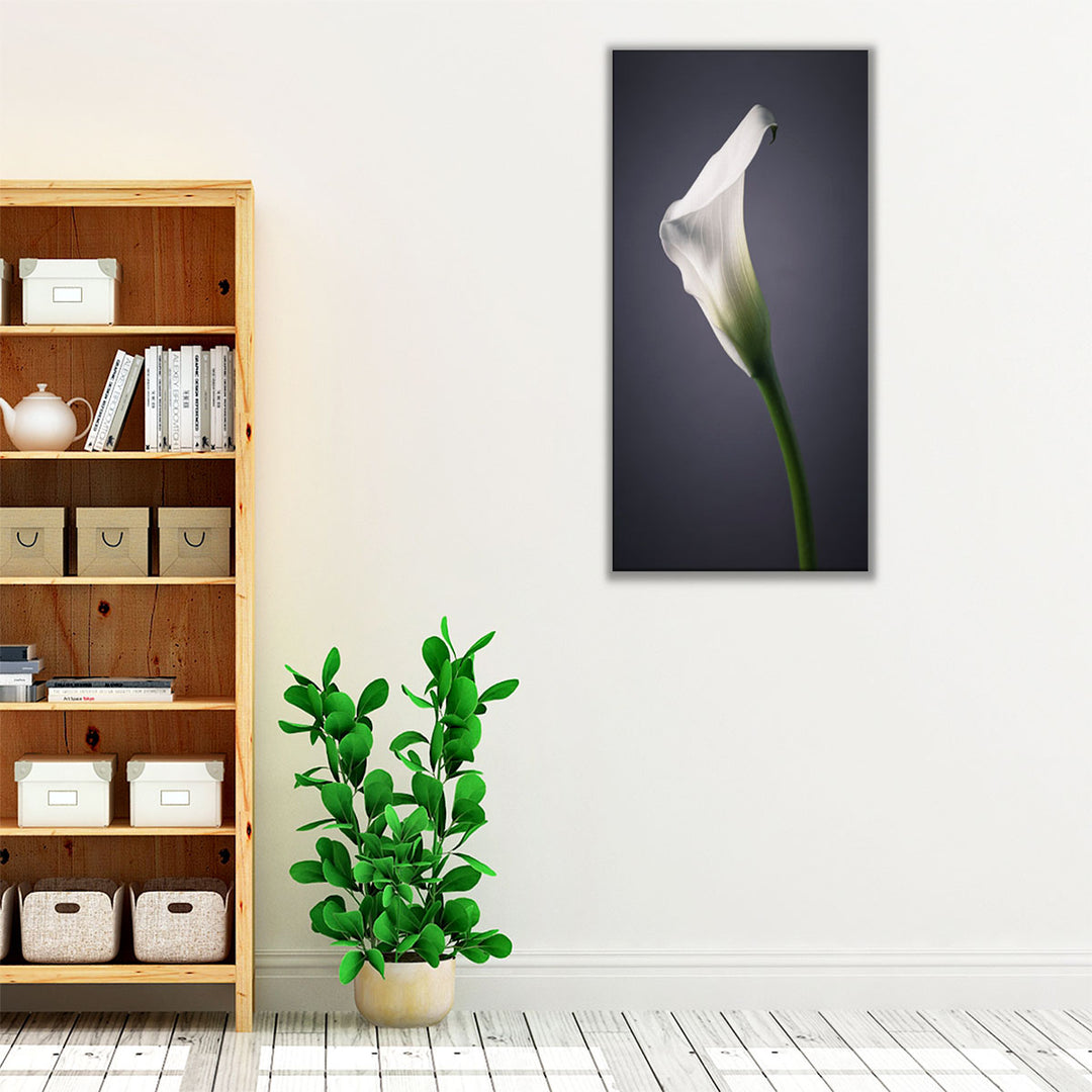 Calla Lilies 2 - Canvas Print Wall Art