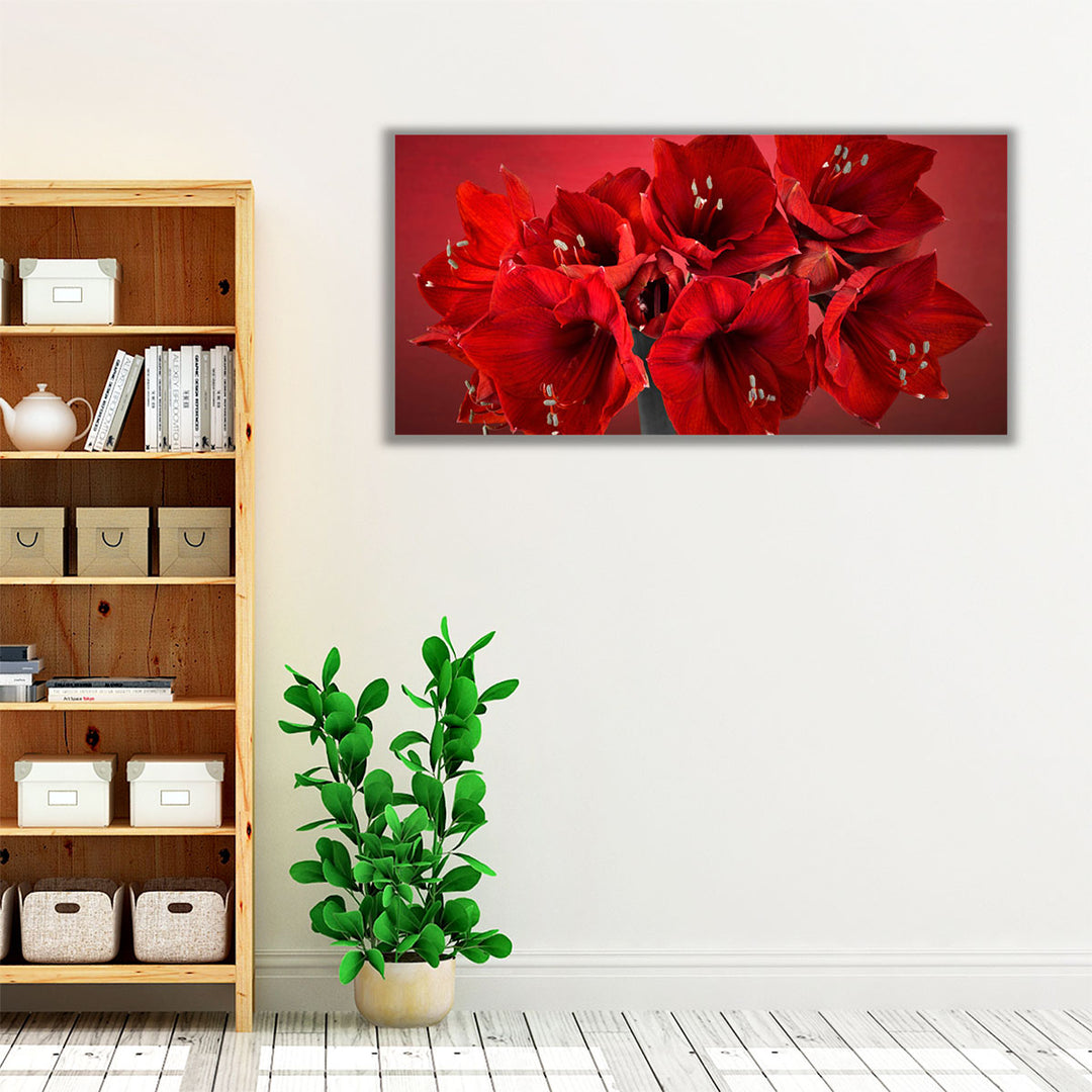 Amaryllis Flower 1 - Canvas Print Wall Art