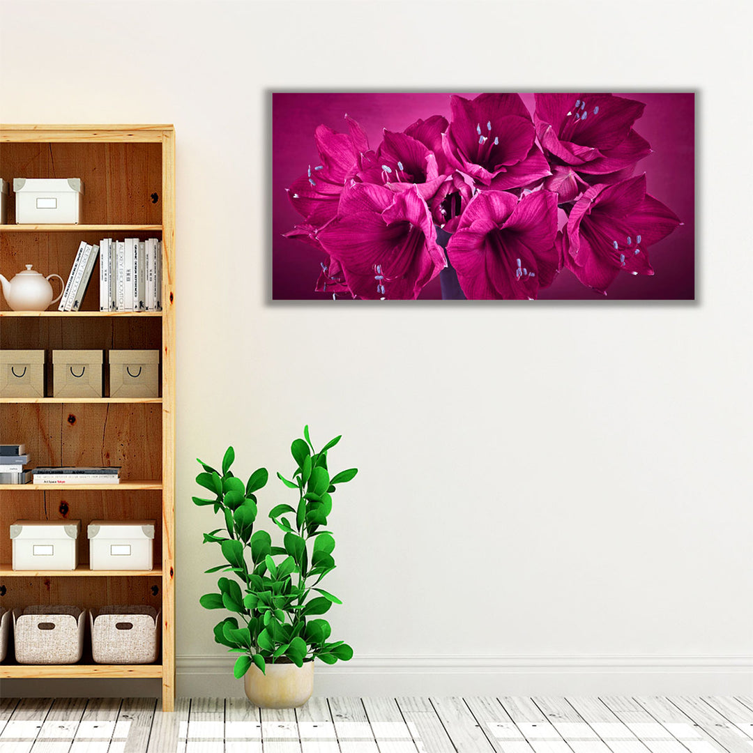 Amaryllis Flower 2 - Canvas Print Wall Art