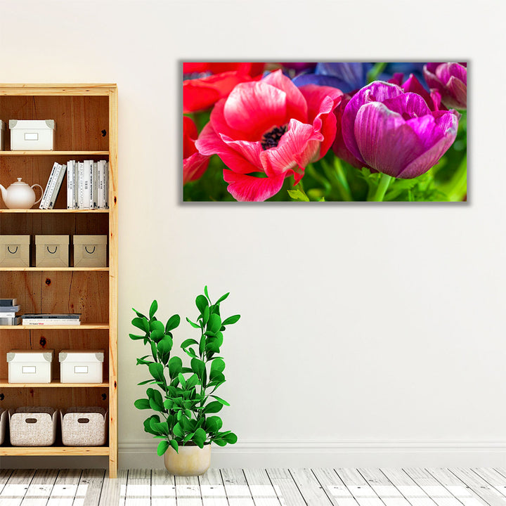 Close-up of Anemone Flowers - Canvas Print Wall Art