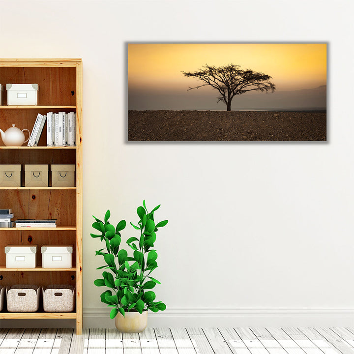 Dry Tree in the Desert near the Dead Sea, Israel - Canvas Print Wall Art