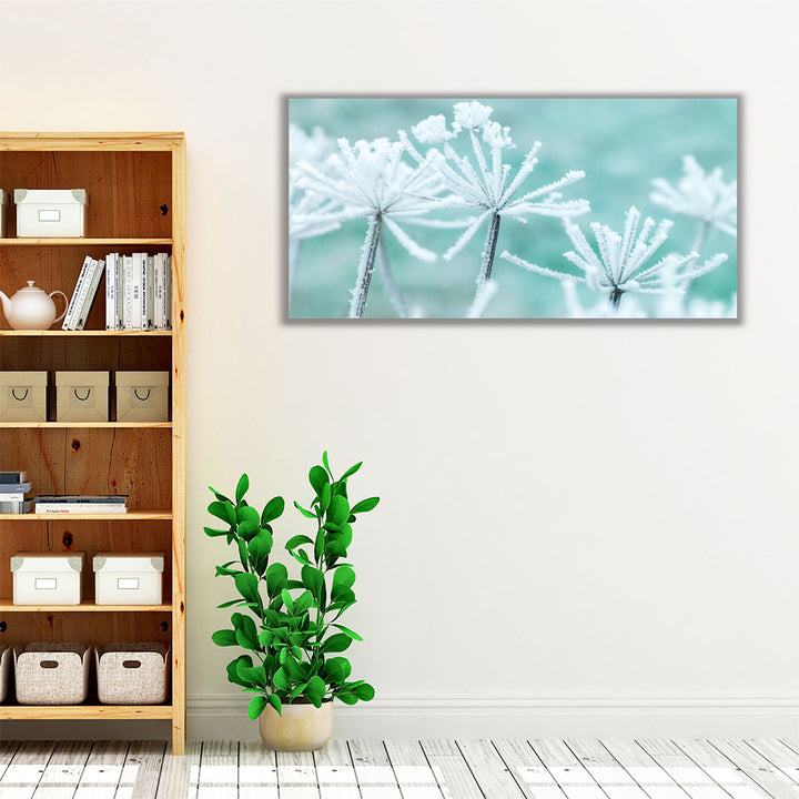 Frosty Cow Parsley - Canvas Print Wall Art