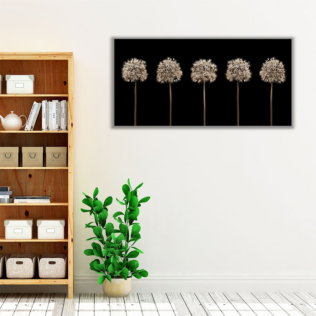 Three Allium Flowers - Canvas Print Wall Art