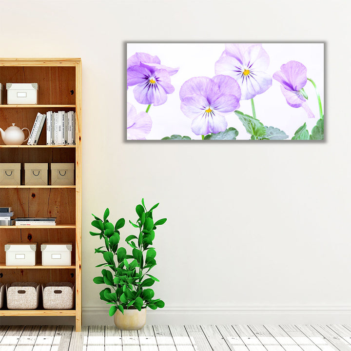 Violet Flowers - Canvas Print Wall Art