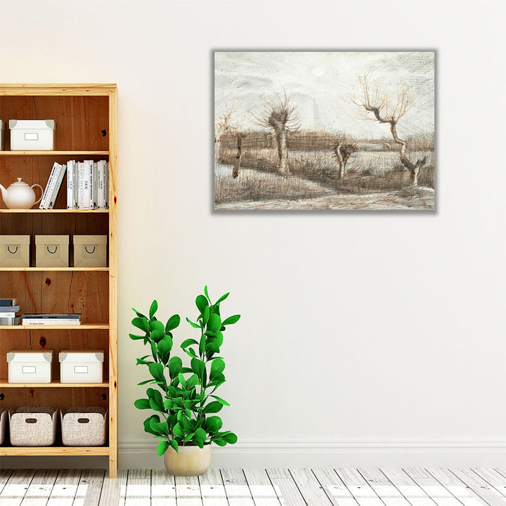 neutral trees under sunlight