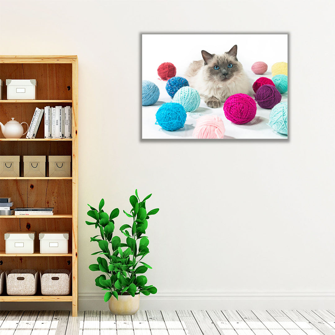 Cat With Balls Of Wool - Canvas Print Wall Art