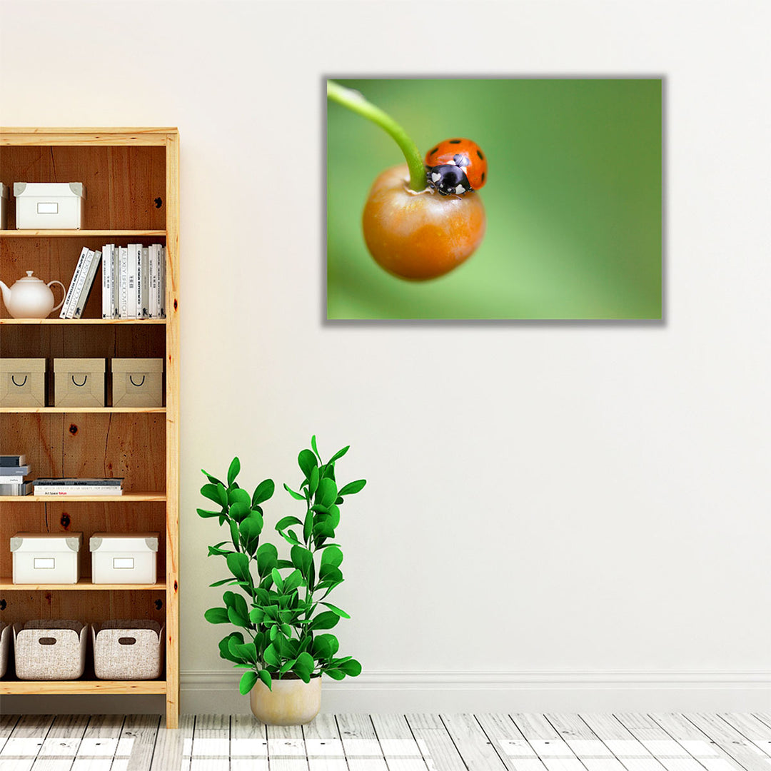 Ladybug On Fruit Close-up - Canvas Print Wall Art