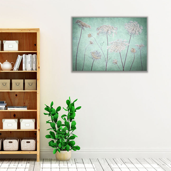 Cow Parsley Flowers 3 - Canvas Print Wall Art