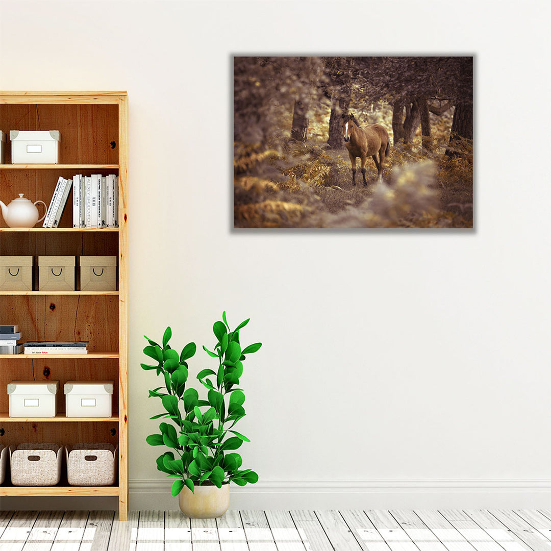 Wild Horse, New Forest - Canvas Print Wall Art