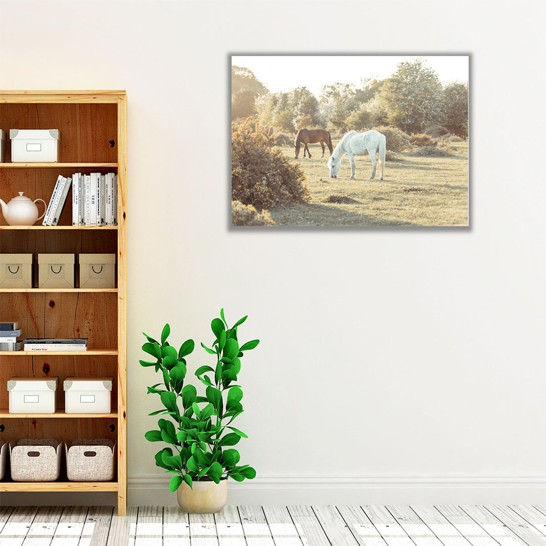 Horses at the New Forest, UK - Canvas Print Wall Art