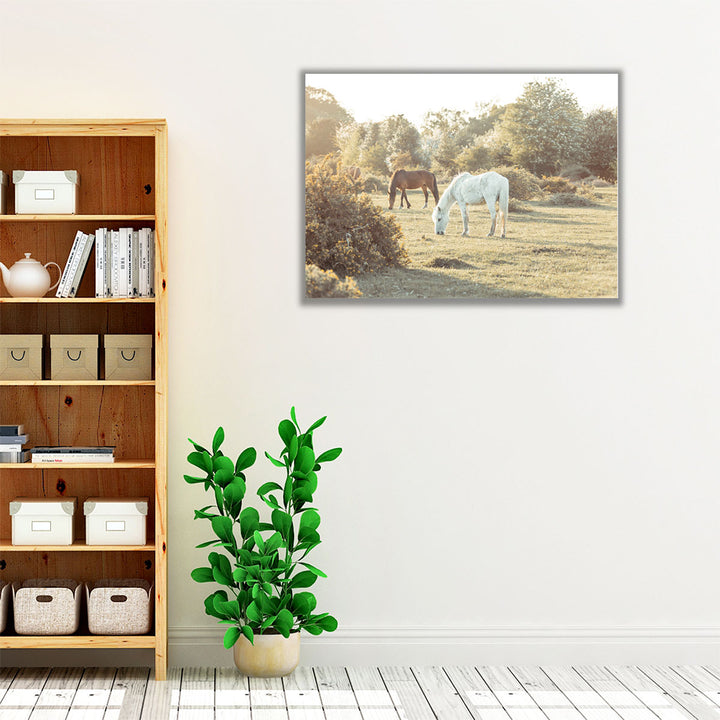 Horses at the New Forest, UK - Canvas Print Wall Art